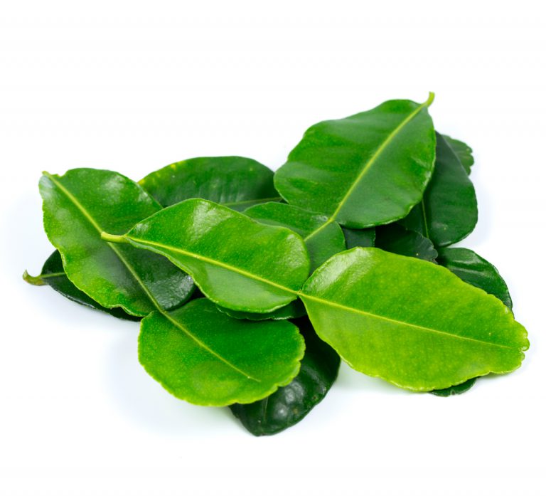 Kaffir Lime Leaf