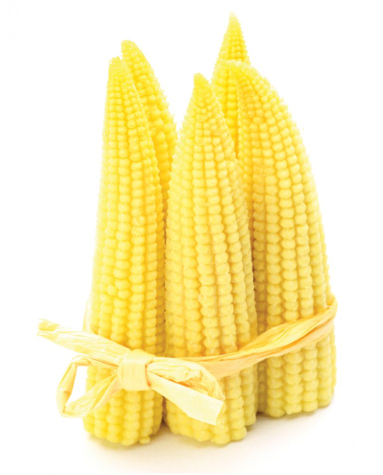 Baby Corn