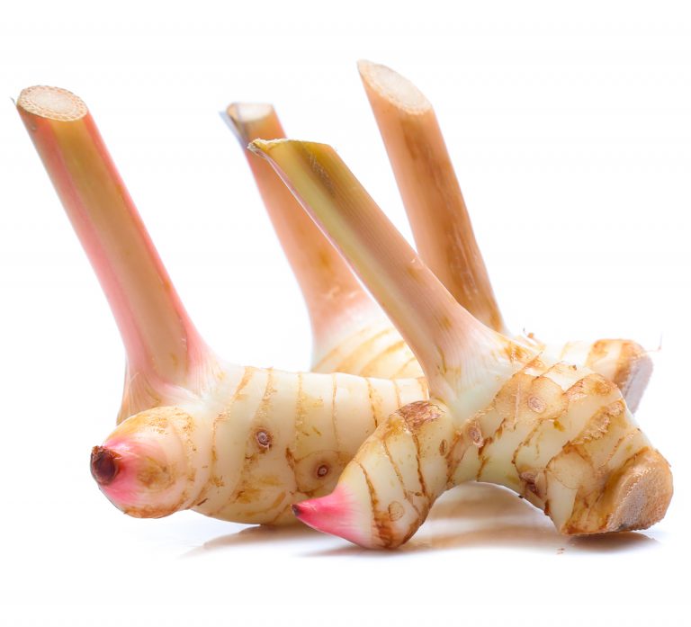 Galangal