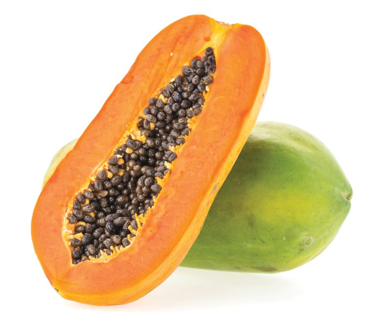 Papaya